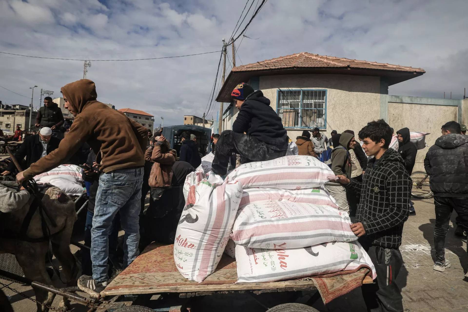 Why Donating to International Humanistic Aid (IHA)?